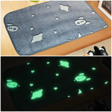 Load image into Gallery viewer, KM-12 Glow in the dark mats
